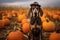 dog in pumpkin patch outdoor. Halloween concept. Generative AI illustration