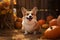 dog in pumpkin patch outdoor. Halloween concept. Generative AI illustration