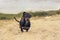 Dog puppy of the breed dachshund black and tan is happily running along the sandy beach amidst the green hills