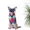 Dog, a puppy in the Hawaiian style isolated. Tourist, traveler.,