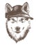 Dog purebred Alaskan Malamute puppy head close-up in a fashionable cap with slotted ears