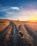 A dog purpose, vertical shot. Doubtful pup in front of a split country road, autumn sunset scene. Pet afterlife, crossroad concept