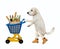 Dog pushing plastic trolley of food 2