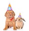 Dog and rabbit in birthday hats sitting together. Isolated on white