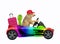 Dog in rainbow car with suitcase