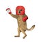 Dog in red boxing uniform