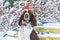 A dog in a red cap on his head sits on a bench in a snowy winter