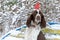 A dog in a red cap on his head sits on a bench in a snowy winter garden