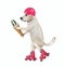 Dog in red helmet rides roller skates