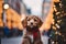 Dog with red scarf in city street with Christmas decorations