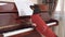 Dog in red tuxedo sits at piano festive performance children creative concert