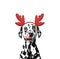 Dog in reindeer antlers