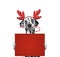 Dog in reindeer antlers holding a card with space for text