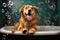 dog relaxing in a bathtub filled with bubbles