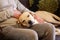 Dog is resting for man owner petting his pet, closeup. Yellow labrador retriever dog feel happy while his owner pampering.