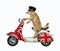 Dog riding english moped