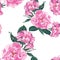 Dog-rose blooms. Wild violet rose vector seamless pattern. Template for textiles, paper, wallpaper.