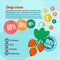 Dog rose concept infographics