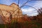 Dog-rose shrub at thick-walled medieval castle scenery at fall