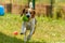 Dog run beagle jumping fun