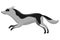 Dog running animation, creature movement. Doggy pose in movement. Character move for games, cartoon or video. Flat