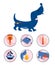 Dog`s kidney stone symptoms.Infographic icons with different signs and reasons of pyelonephritis.Canine healthcare.