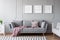 Dog`s posters above comfortable grey couch in stylish living room interior with two sofas