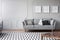 Dog`s posters on the grey wall of bright living room with comfortable grey couch with pillows, real photo with copy space