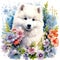 Dog_Samoyed_Watercolor1_13