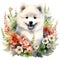 Dog_Samoyed_Watercolor1_14
