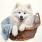 Dog_Samoyed_Watercolor1_2