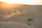 Dog on a sandy quarry at sunset. Jack Russell Terrier through the hills of sand. Active pet