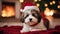 dog in santa hat A cozy Christmas scene with a fluffy Havanese puppy dog wearing a tiny Santa hat, nestled among soft blankets