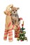 Dog on Santa\'s straw reindeer