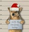 Dog Santa stole Christmas turkey