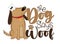The dog says woof - funny slogan with cute hand drawn dog