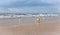 Dog on Seagulls hunting on the beach