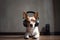 dog seated with its head tilted and ears perked, listening to music