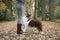 Dog seen from the side, standing on the boots of her owner  looking up focused on its owner being trained by its owner outdoors in