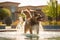 dog shaking water off after playing in a fountain