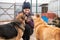 Dog at the shelter. Animal shelter volunteer feeding the dogs. Lonely dogs in cage with volunteer