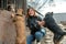 Dog at the shelter. Animal shelter volunteer takes care of dogs. Animal volunteer takes care of homeless animals