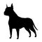 Dog silhouette, boxer breed. Side view pet stand icon in black color. Make used for dog show, competition, pet store