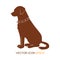 Dog silhouette. Vector illustration. dogs from the side.