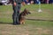 Dog sit in being trained safety by soldier on the grass.