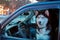 Dog sits in car in driver`s seat and looks out window. Serious Siberian husky looks from car window at camera.