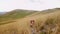 dog sits in a field in the grass. Beautiful pet in nature. Nova Scotia duck tolling retriever in mountains