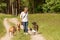 Dog sitter is walking  with many dogs on a leash. Dog walker with different dog breeds in the beautiful nature