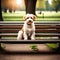 Dog sitting alone at a park bench - ai generated image