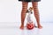 dog sitting on the floor with a pumpkin besides and her owner. Woman wearing black and orange tights. White background. Halloween